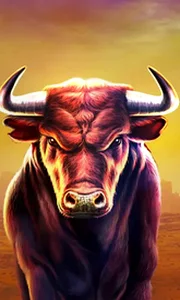 Black Bull